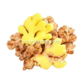 Auténtico jugo puro de jengibre de las tierras altas de Yunnan